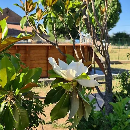 Mas Gabelys Superbe Vue Sainte Victoire Jardin Terrasse Et Piscine Apartment Trets